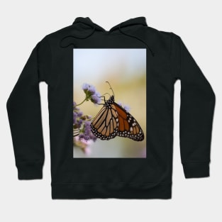 Migration Series VII Hoodie